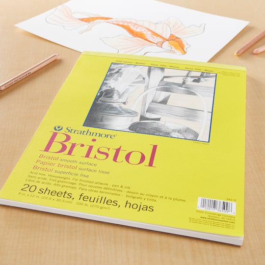 12 Pack: Strathmore® 300 Series Bristol Smooth Pad